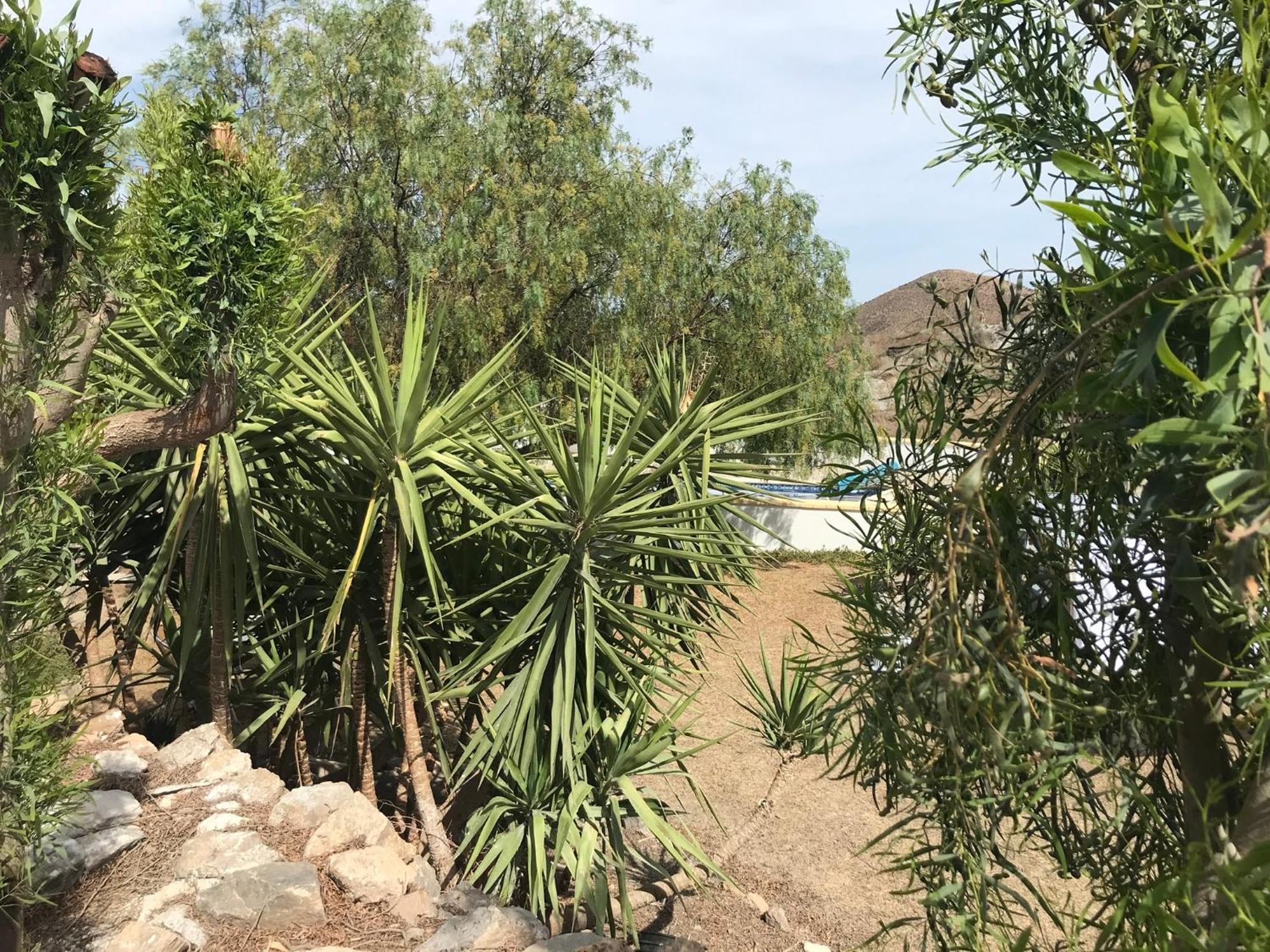 Bella Vista Rural Retreat Apartment Arboleas Екстериор снимка