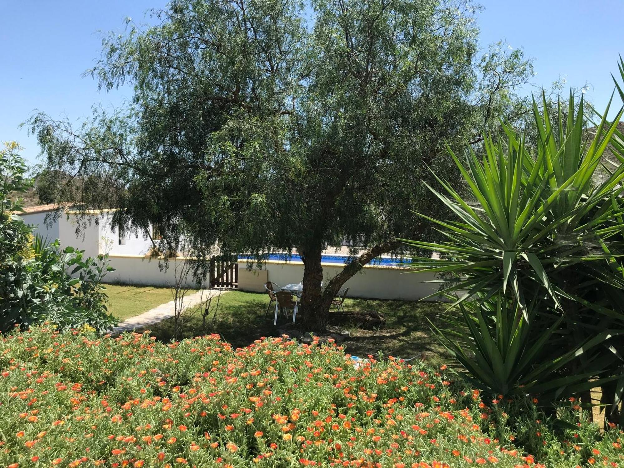 Bella Vista Rural Retreat Apartment Arboleas Екстериор снимка